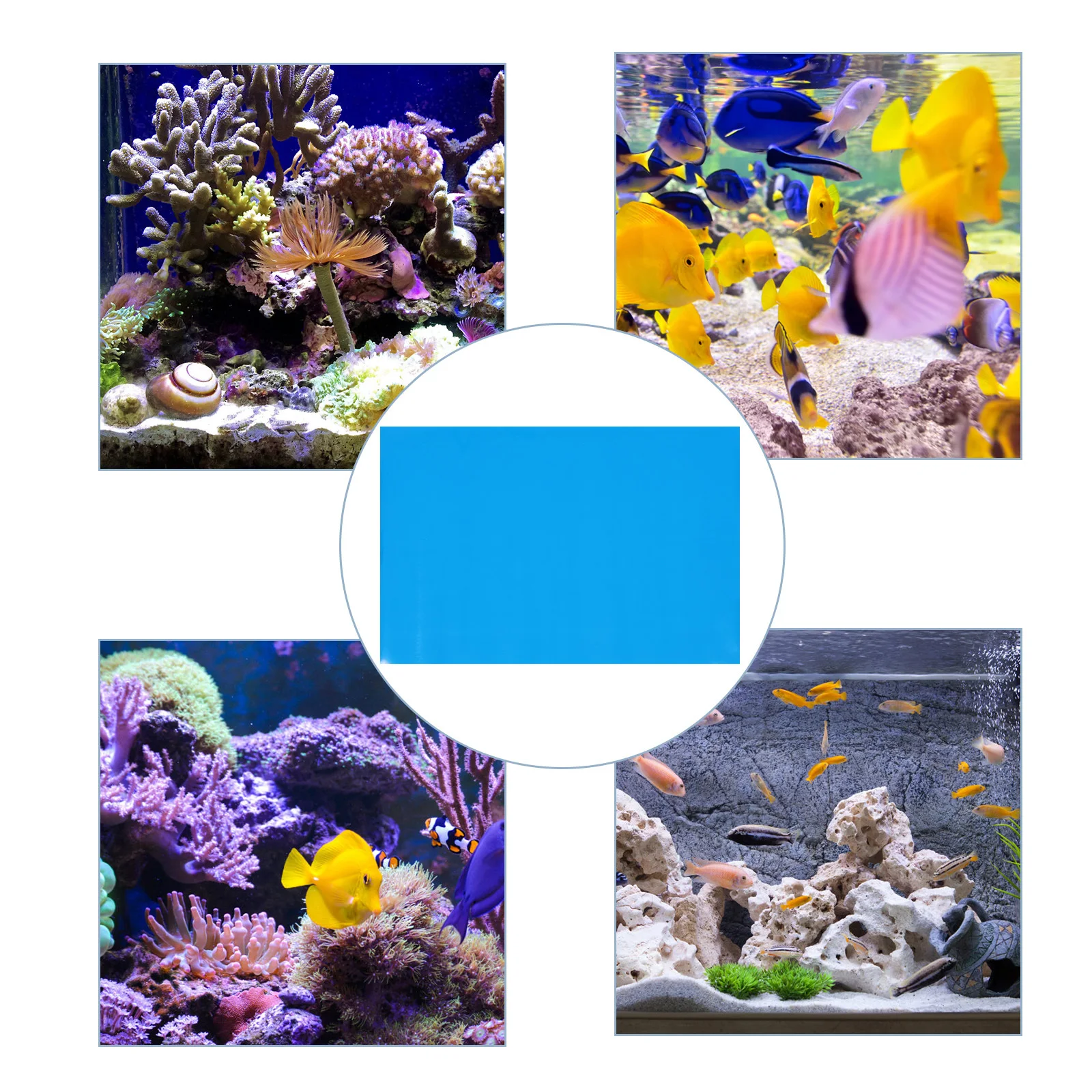 

Fish Tank Background Paper Thickened Double-Sided Waterproof No Smell Fade-Resistant Aquarium Decor Sticker Diy Underwater