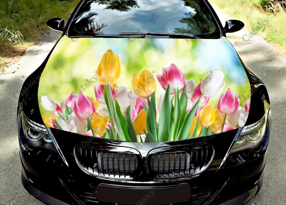 Colour Tulip Women Car Hood Wrap Decal,  Vinyl, Sticker, Graphic, Truck Decal, Truck Graphic, Bonnet Wrap Decal, F150, CUSTOM