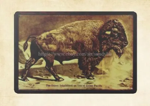 Railroad Bison metal tin sign metal wall art