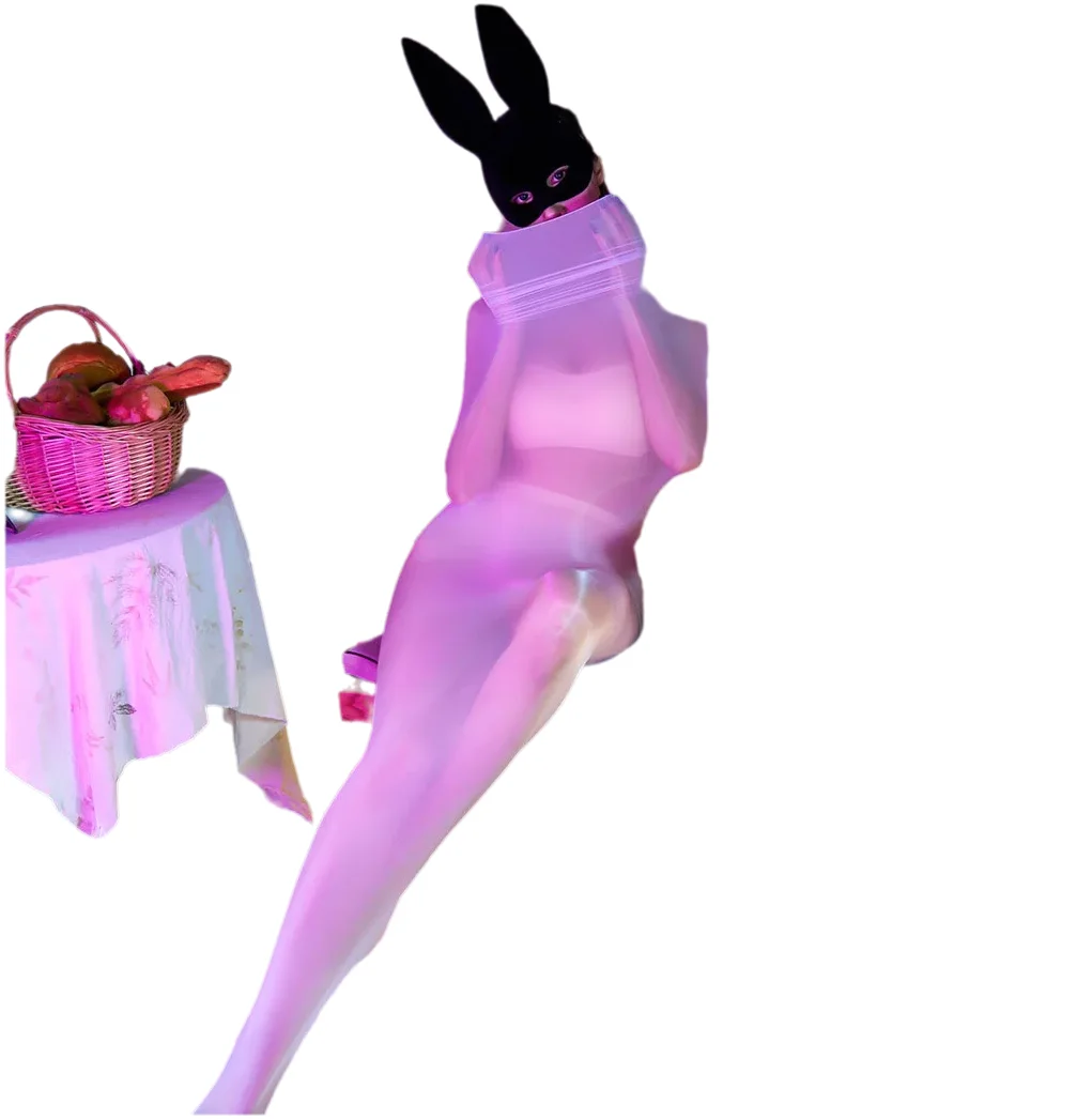 Sexy Full-Body Jumpsuits Glossy Thin Type Tights Shiny Underwear Fully Covered Zentai Transparent Full Body Socks Sleeping Bag