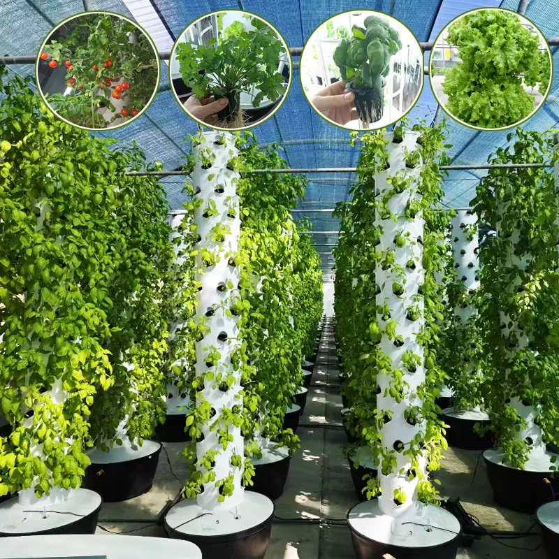 Lyine Aeroponic Vertical Grow Farming Hydroponics Vertical Tower Garden for Leafy Vegetables