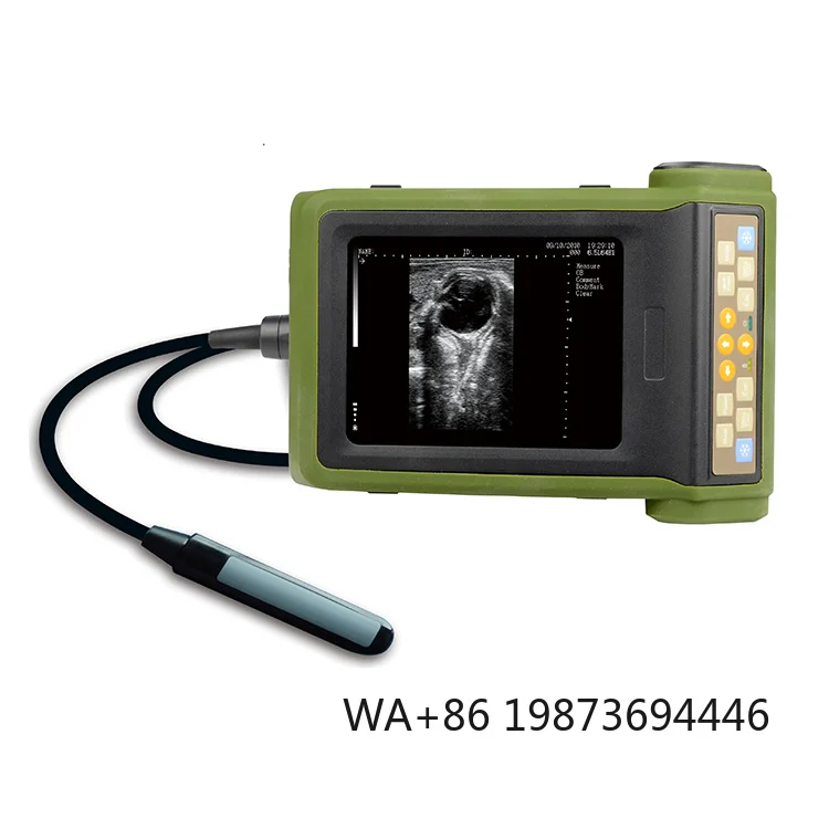 Veterinary Ultrasonic Diagnostic System  Output Portable  Efficient Real Time Imaging For Pet And Livestock Clinical Check