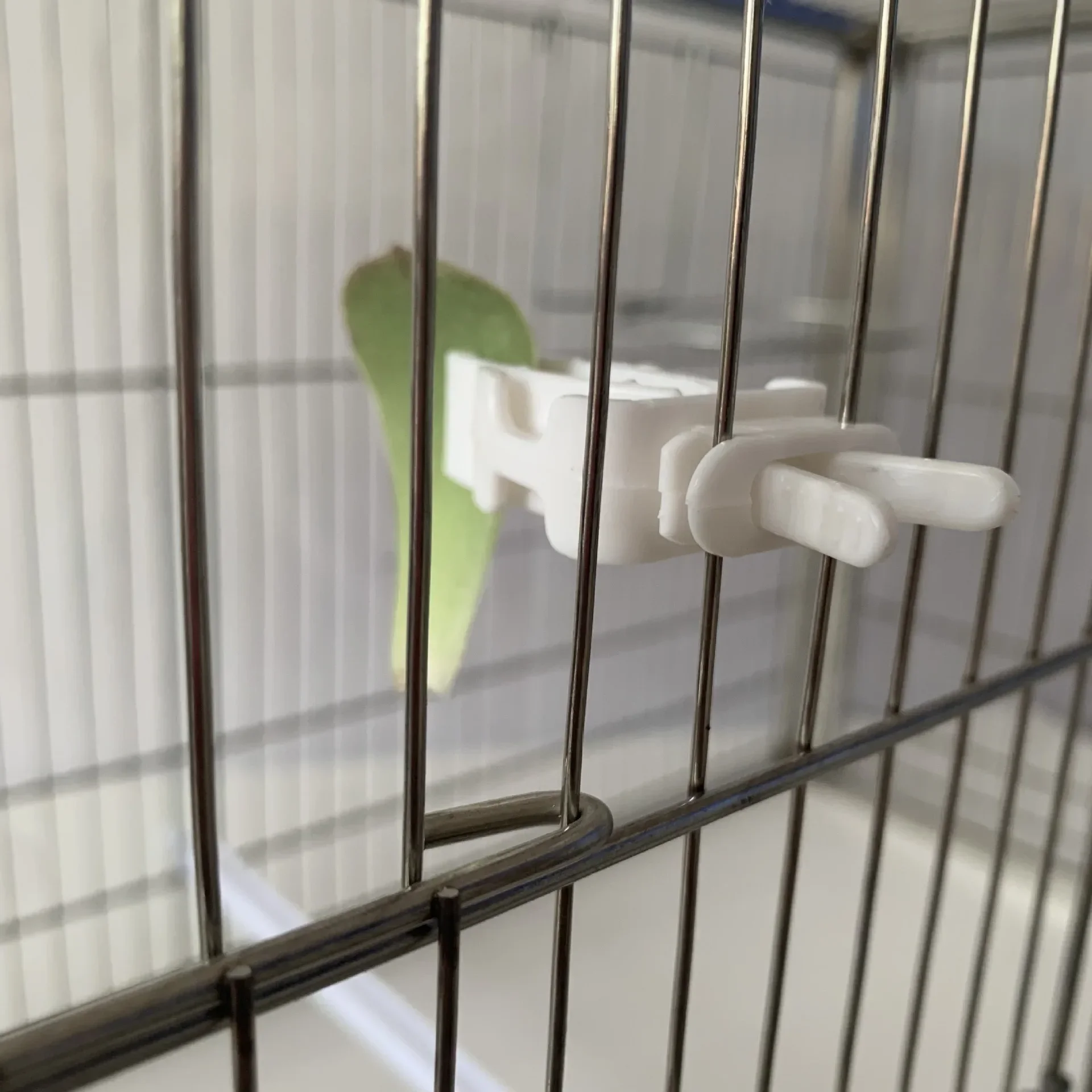 

10Pcs Small Pet Bird Food Holder Parrot Fruits Vegetables Clip Cuttlefish Bone Feeder Device Clamp Bird Cage Accessories Oiseaux