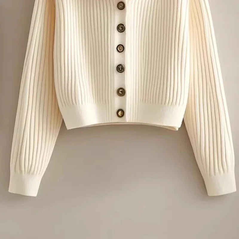 2025 automne hiver femmes tricoté simple boutonnage pull décontracté ample doux Cardigan pull veste à manches longues tricots