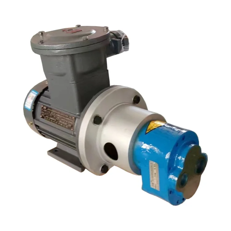 CB-B63 Electric High-Pressure Pump Stainless Steel 304 Non-Standard Food Grade Gear Pump with 20mm Outlet