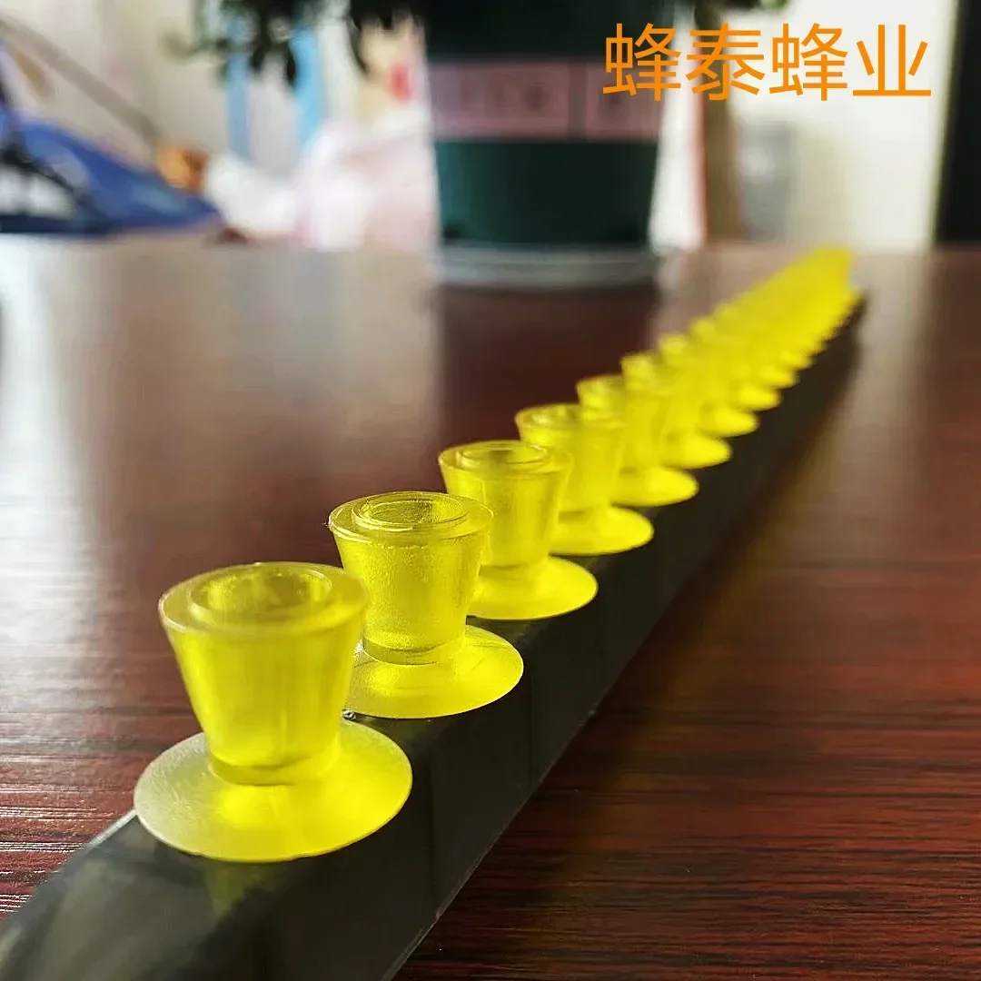 A 2PCS Queen-breeding Suit American Queen-platform Beekeeping Queen-breeding Base Queen-breeding Bar-seat Suit 50 Queen-platform