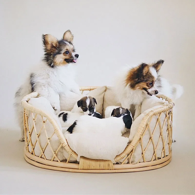 Handmade Rattan Woven Pet Bed Dog Sofa Chair Cat Princess Small Bed Nest Universal for All Seasons Comfortable Durable