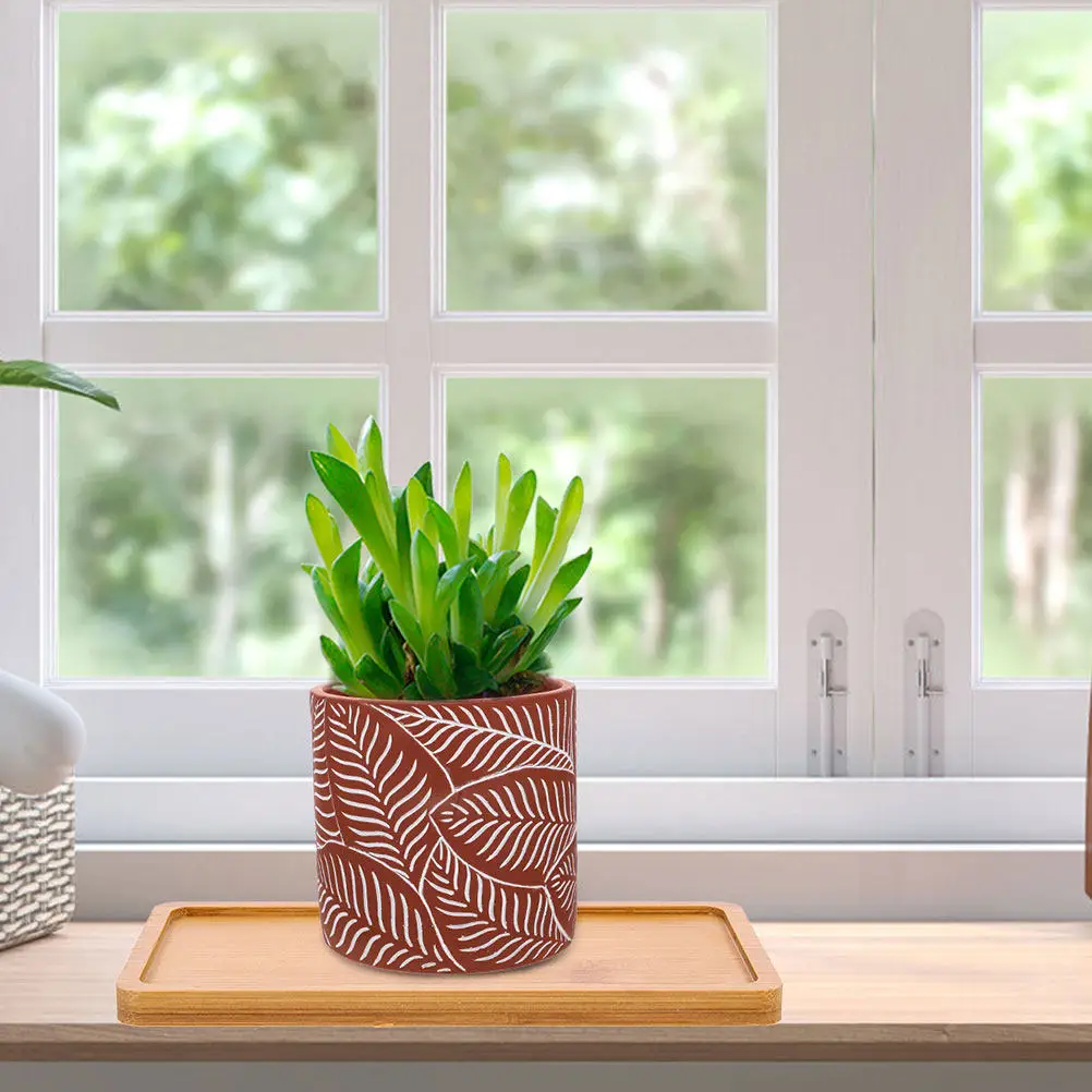 2Pcs White Ceramic Plant Pots with Rustic Bamboo Water Catcher Trays for Indoor Outdoor Gardens Succulent Drainage Saucers