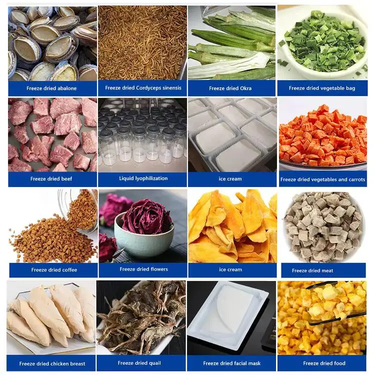 

6Kg 8Kg 10Kg Mini Compressor Vacuum Pump Small Household Freeze Dryer