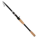 Casting Rod