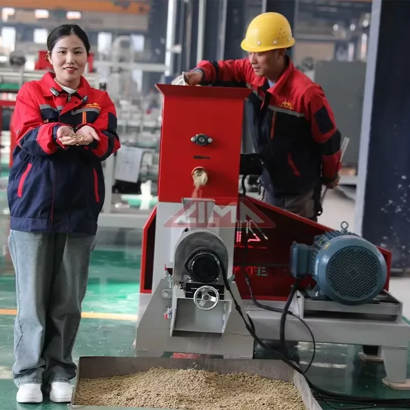 LIMA Factory Direct Sale Floating Feed Pellet Machine for Catfish Talapia Pet Automatic Small Floating Fish Feed Making
