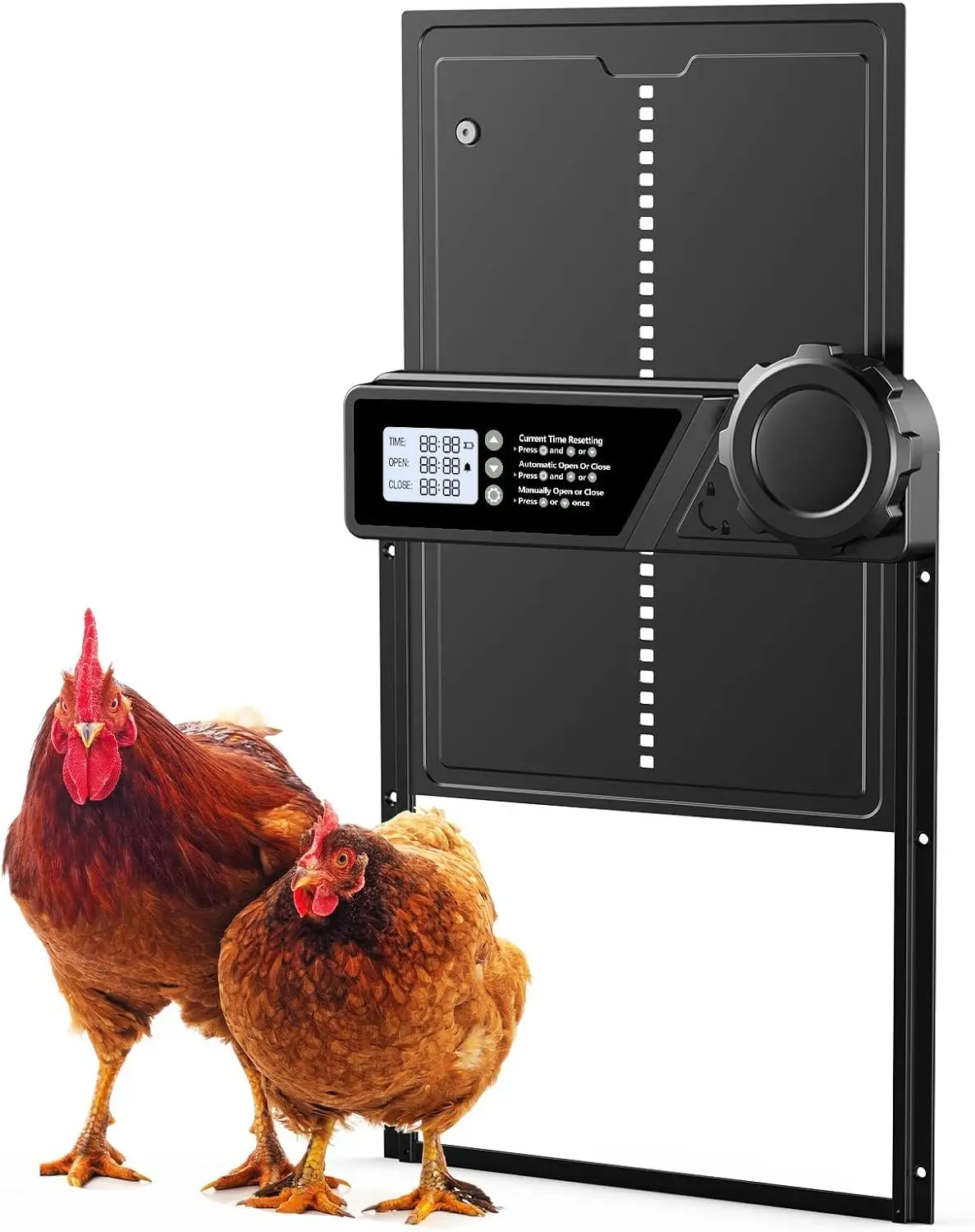 

Large chicken coop door with LCD display AAA battery powered timer setting - easy-to-use automatic chicken and duck coop door