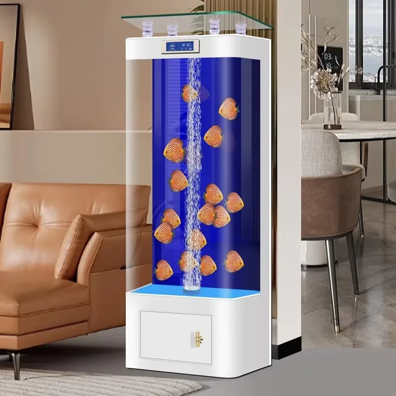 

Household Smart Fish Aquarium Tank with Pipe-Free Back Function
