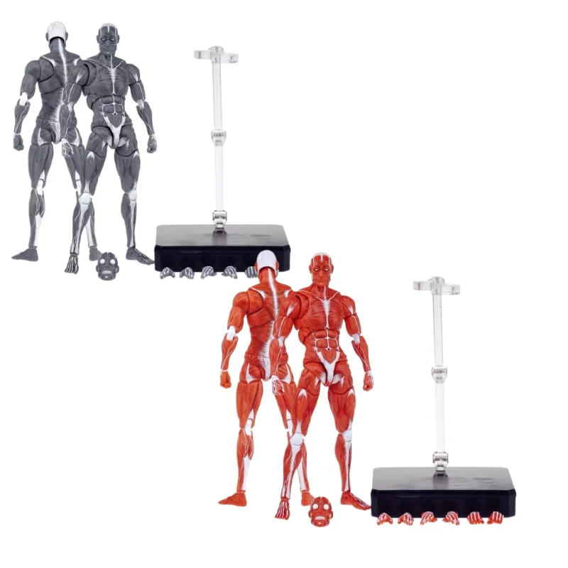 

Оригинальная в наличии модель человеческой мышцы 1/12, экшн-фигурка Muscle Body, модель для рабочего стола, серая и красная версия, набор, поддержка персонажей Хан