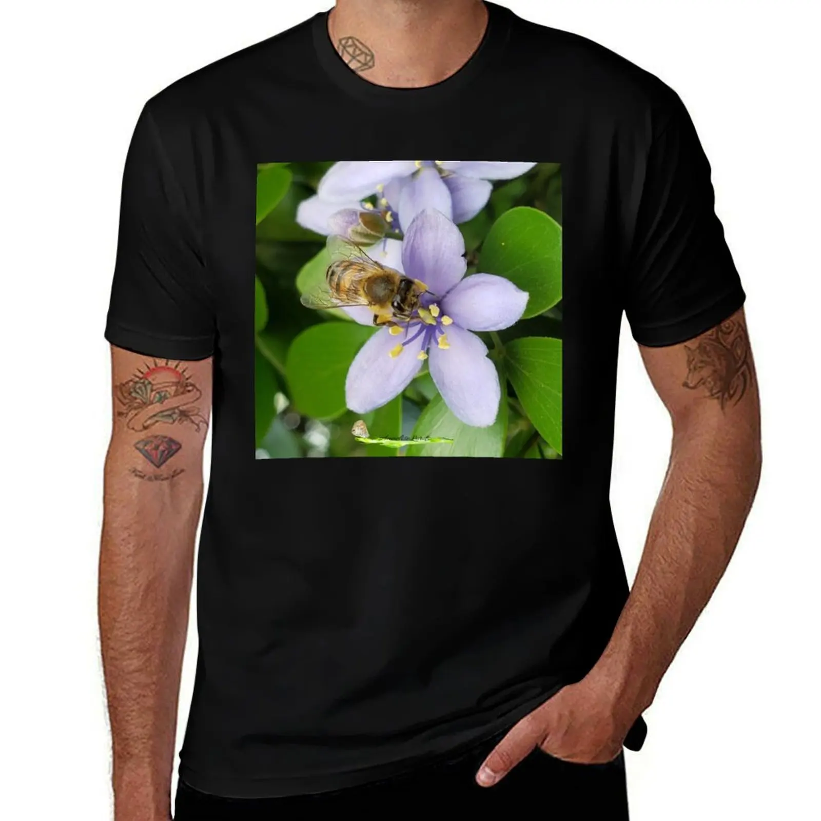 

Pollination A T-Shirt quick-drying Aesthetic clothing funny gifts shirts graphic tees mens cotton t shirts