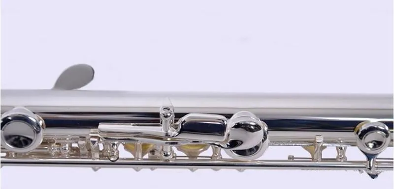 Thumbnail 3 - #16 New Flute Cases & Gigbags Arrivals