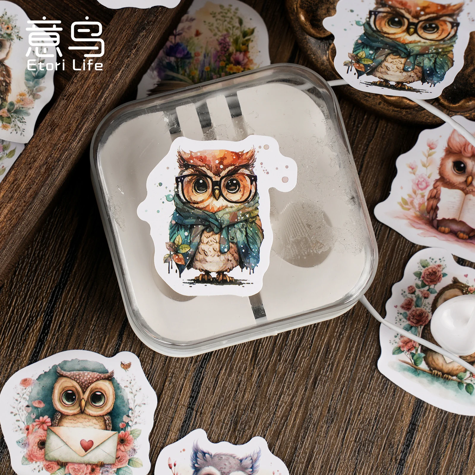 46Pcs Magic Owl Retro style box Decal decorative water cup notebook skateboard DIY decal classic toy