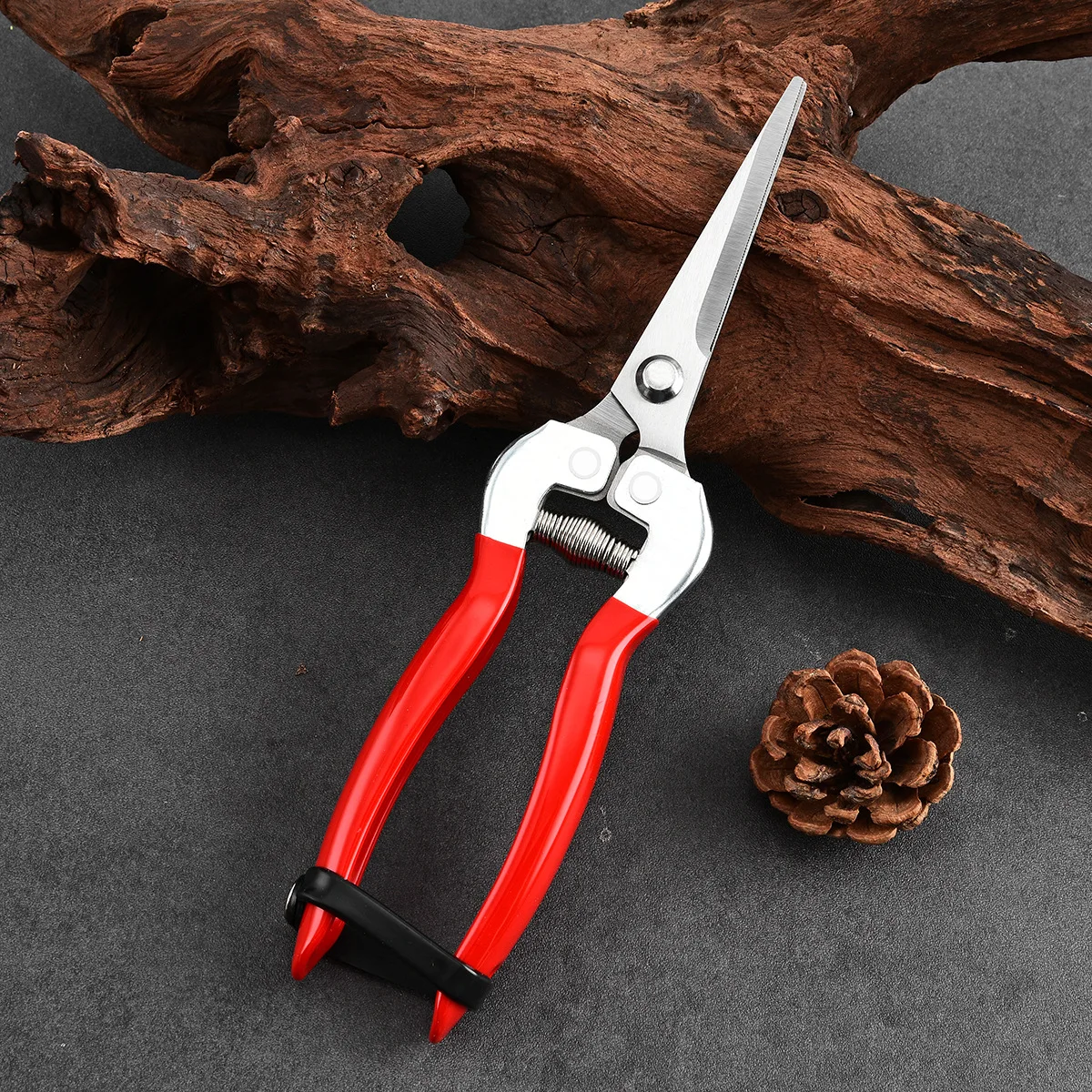 Fruit Picker Scissors Garden Pruning Shears for Grape Berry Harvesting & Grafting Tree Branches