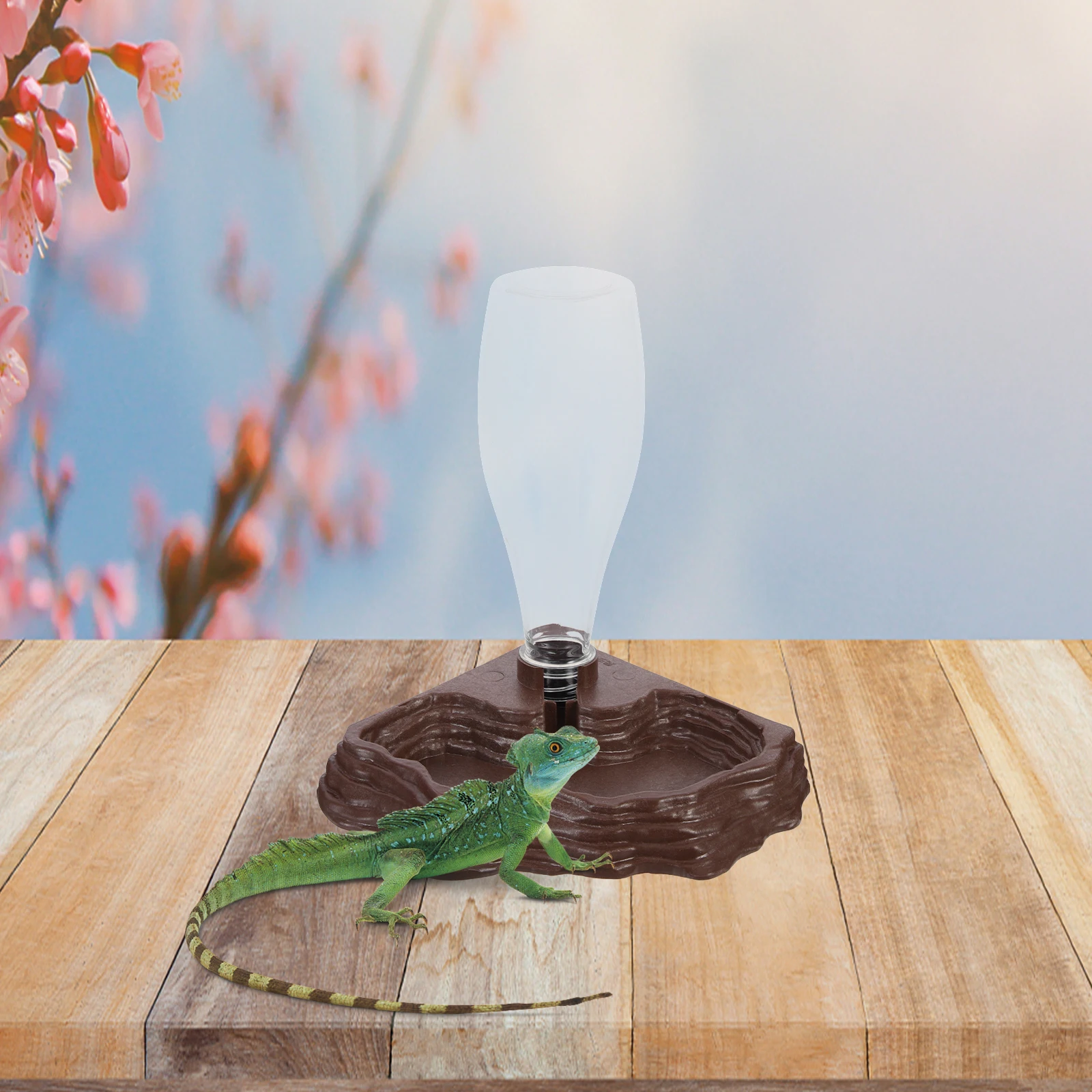 

Reptile Water Dish Automatic Dispenser Durable Gecko Tank Accessories Daily Use St Small Tortoise Turtle Pet Supplies Decor
