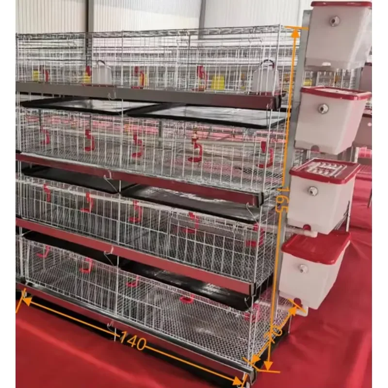 An Intelligent Brooding Cage with Temperature and Humidity Display Automatically Adjusting the Breeding Environment