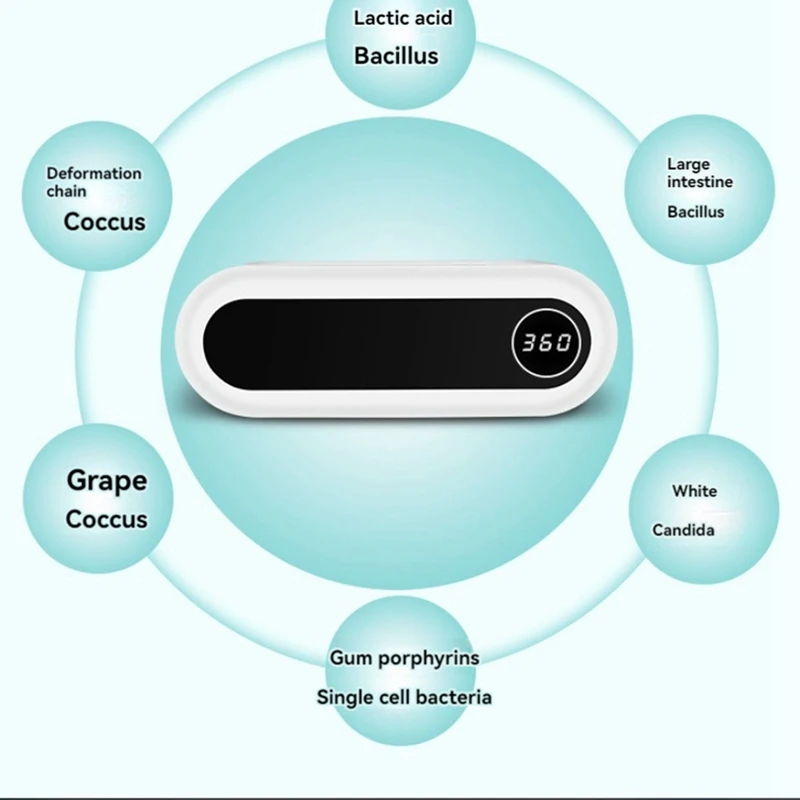 Toothbrush Sterilizer,UV Toothbrush Sterilizer And Holder,5 Toothbrush Slots,Cordless Wall Mounted Toothbrush Sterilizer