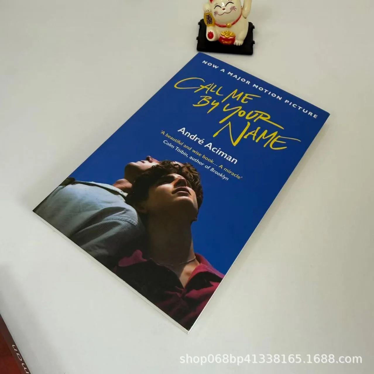 

English Version Please Call Me By Your Name English Books Movie Book of The Same Name English Book