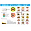 전문 Iridology 디지털 카메라 다기능 12MP 카메라 눈 홍채 스캐너 홍채 Iriscope 분석기 신체 건강 진단 5