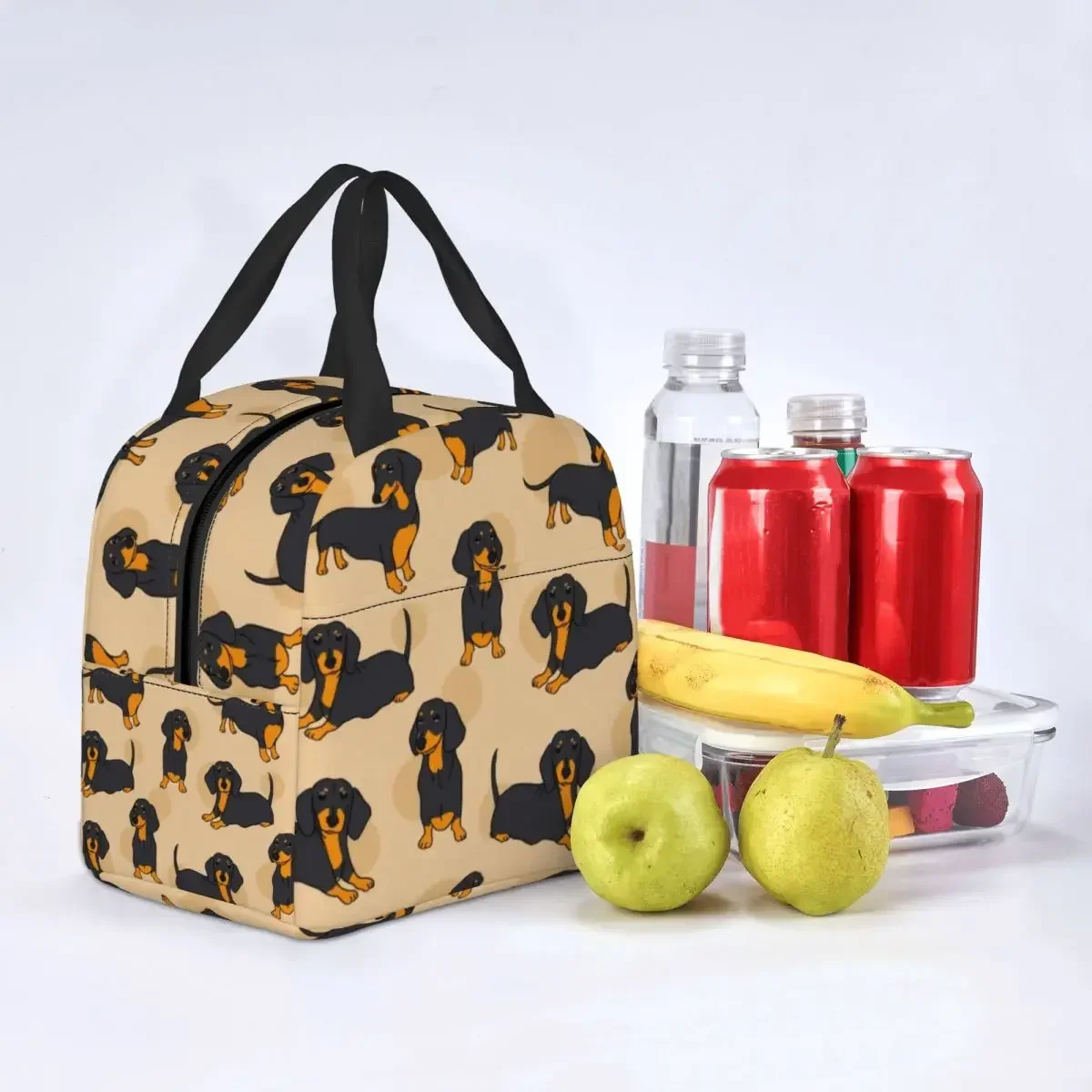 حقيبة غداء بنمط Teckel Dachshund للرجال والنساء، صندوق غداء معزول دافئ ومبرد للأطفال في المدارس