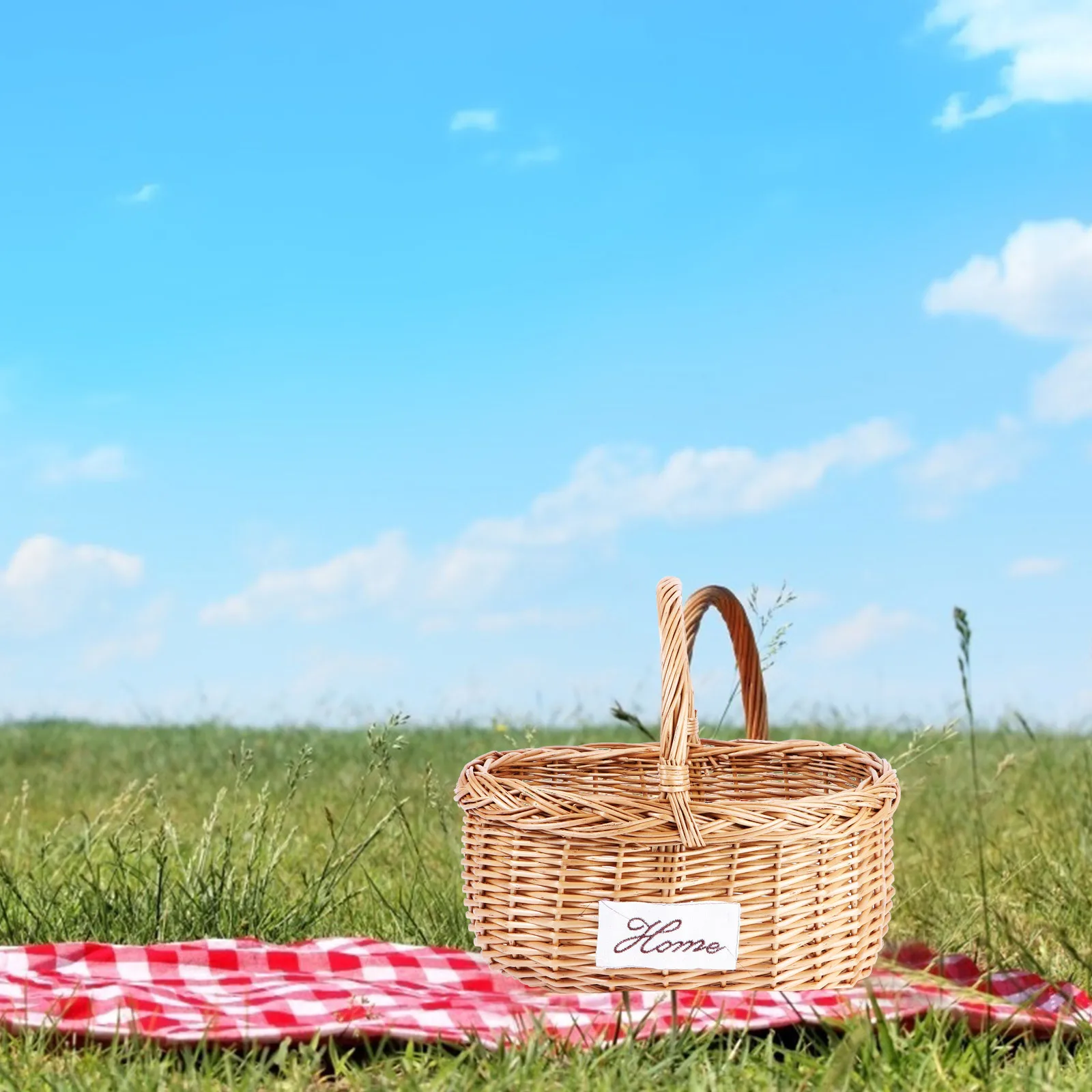 Cesta de Picnic Tejida de Mimbre Natural, Marrón, Portátil, para Exteriores, Frutero, Cesta de Almacenamiento Multifuncional, Bolso para Flores