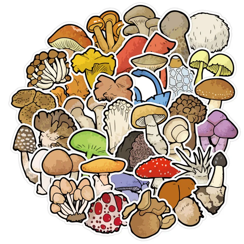 

10/40pcs Elementary School Knowledge Mushroom Graffiti Gift Waterproof Skateboard Travel Suitcase Phone Laptop Luggage Stickers