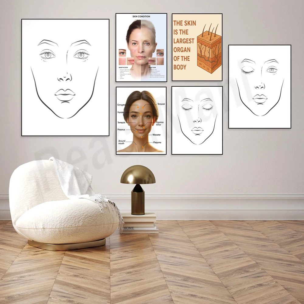Detailed Facial Anatomy Diagram Medical Poster for Botulinum Toxin Injections Syringe Guide Skin Care And Skin Conditions