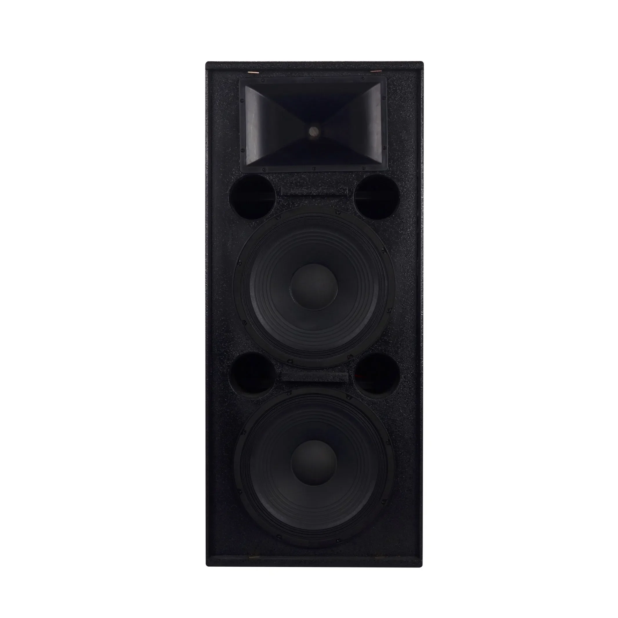 Powerful 15‑Inch Passive DJ Stage PA Speaker & Subwoofer Set Neodymium for Outdoor Large Events & Live Performances view 2