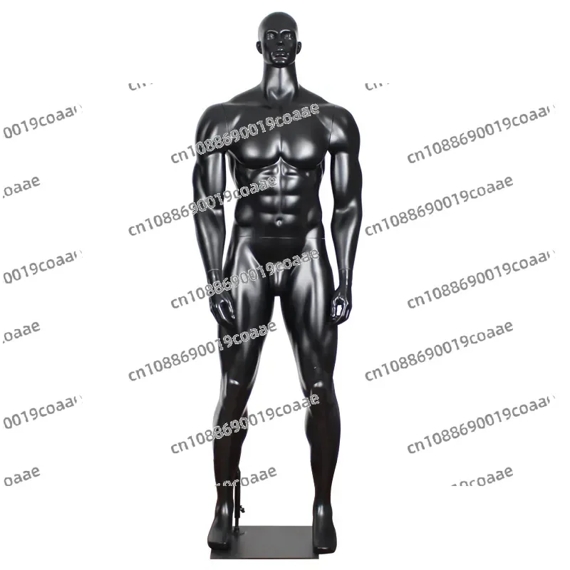 

Hight End Fiberglass Full Body Bust Black Big Muscle Male Mannequins Muscular Man Mannequin for Fitness Clothes