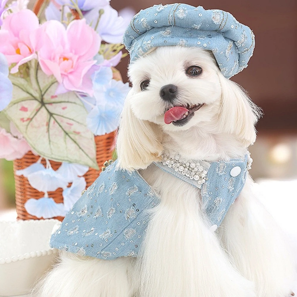 

Small Dog Clothes Lolita Dog Princess Dress,Pet Birthday Clothes,Luxury Lolita Dress for Puppy Kitten Cat Skirt Dog Costume