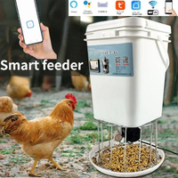 Automatic Chicken Feeder Pigeon Chicken Duck Carrier Pigeon Trough Intellegent Timing Automatic Chicken Feeder Pigeon Supplies