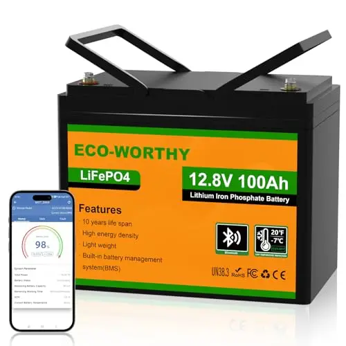 12V 100AH LiFePO4 Lithium Battery with Bluetooth, Max.1280Wh Energy, Low Temperature Protection, Group 24, Built-in