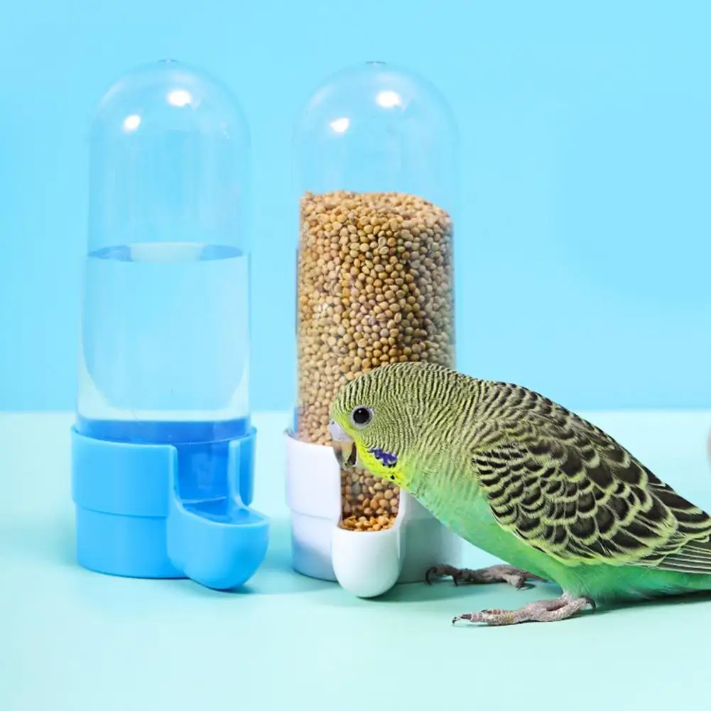 Reusable Parrot Feeder Transparent Container Splash Proof Eco-friendly Bird Water Feeder Food Container