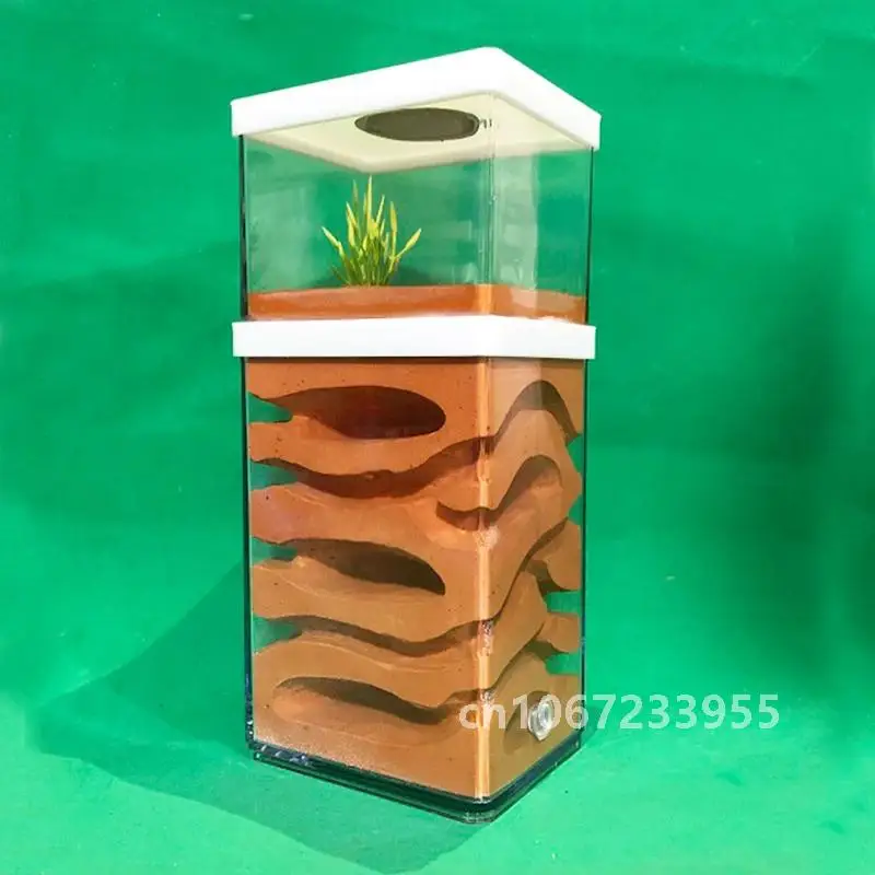 Plaster Ant Farm High Moisture Insect Hotel Castle Ecological Ant Nest Pet Anthill Workshop Ant House Village with Feeding Area