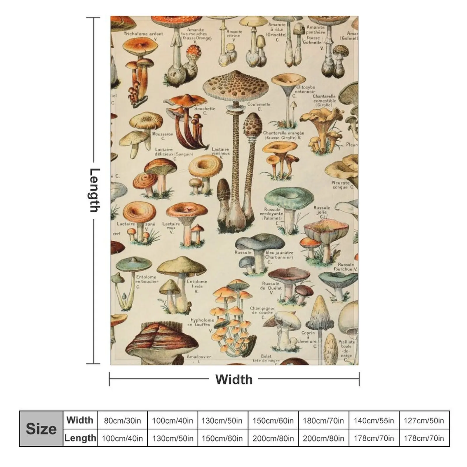 Edible Mushroom Chart Vintage Adolphe Millot Champignon Throw Blanket Bed Travel Blankets