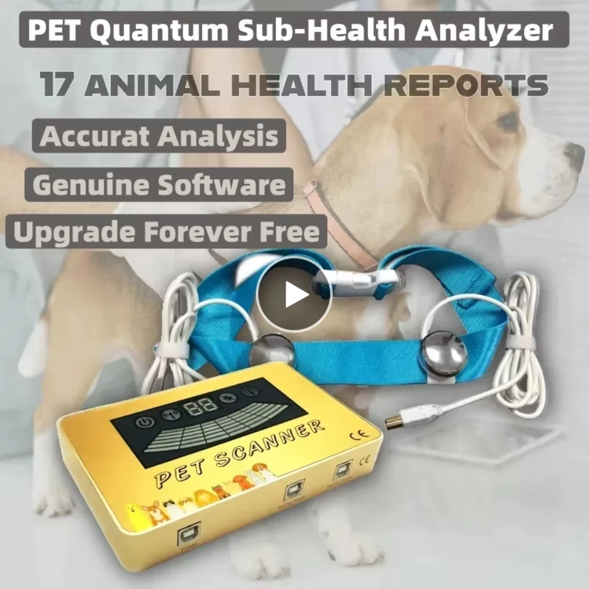 Dog Cat Pet Quantum Resonance Magnetic Analyzer PET Scanner Animal Tester With For Body Health Home Care