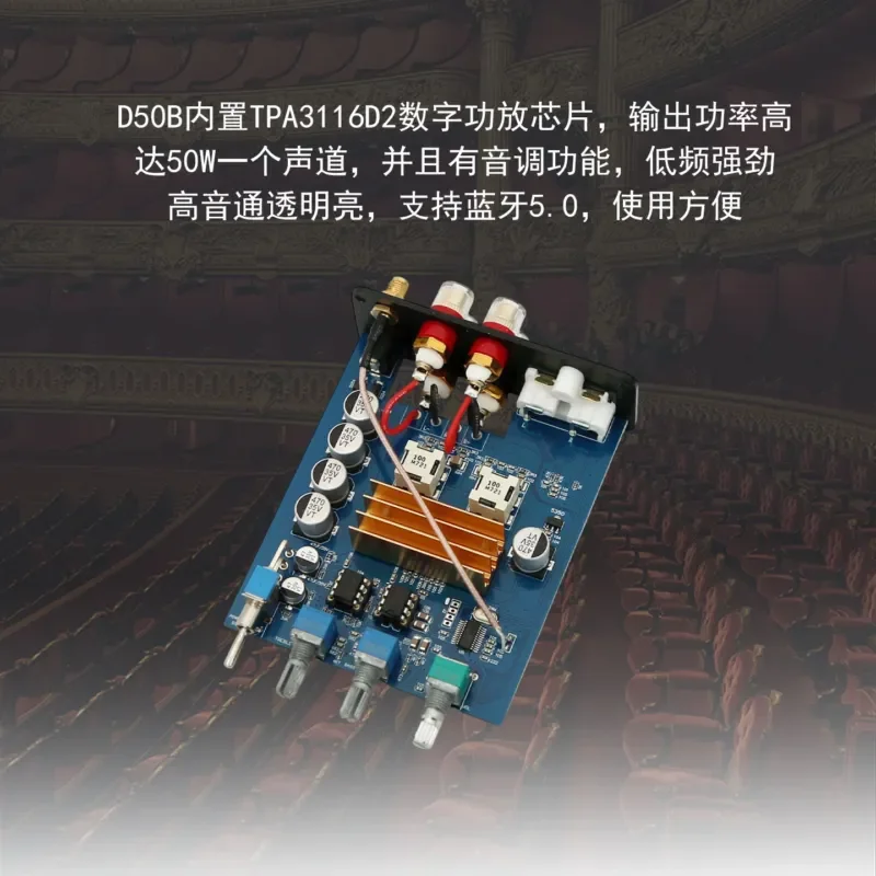 D50B TPA3116 Dual Channel Bluetooth 5.0 Power Amplifier 50W*2 High Bass HIFI Digital Audio Amp for Home Speaker System