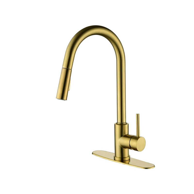 

Kitchen Faucet with Pull Down Sprayer