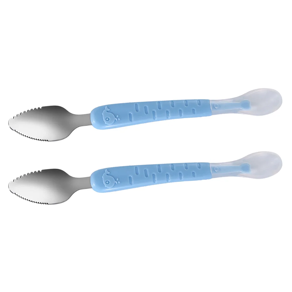 2 Pcs Infants Food Scraper Spoon Baby Stainless Steel Dessert Spoons Fruit Scraping Bowl