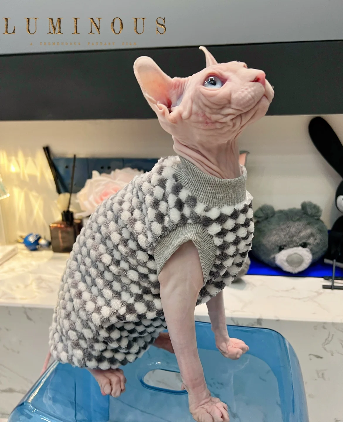 Sphynix Cat Sweater Hairless Cat Clothes Thickening Warm Soft Plaid Lamb Wool Fiber Coat for Devon Rex Winter Outwear