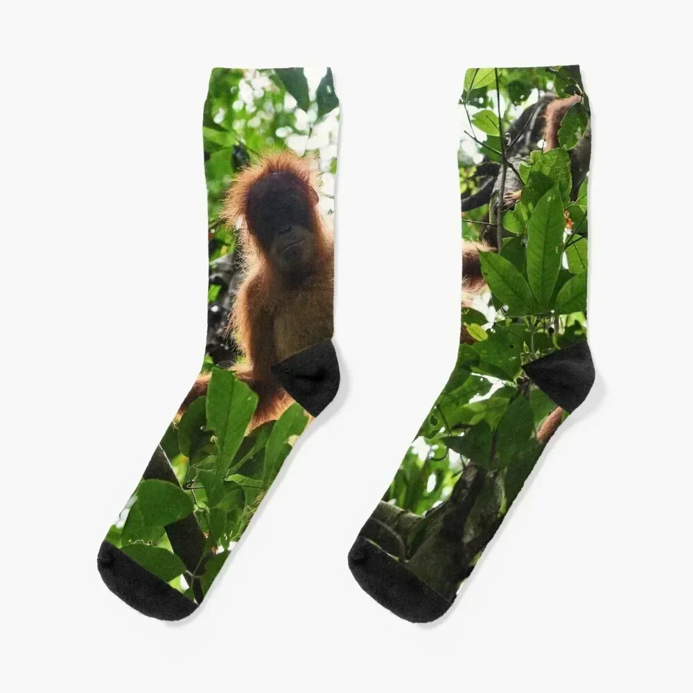 

Up Socks gift FASHION basketball funny gift Socks Women Men's