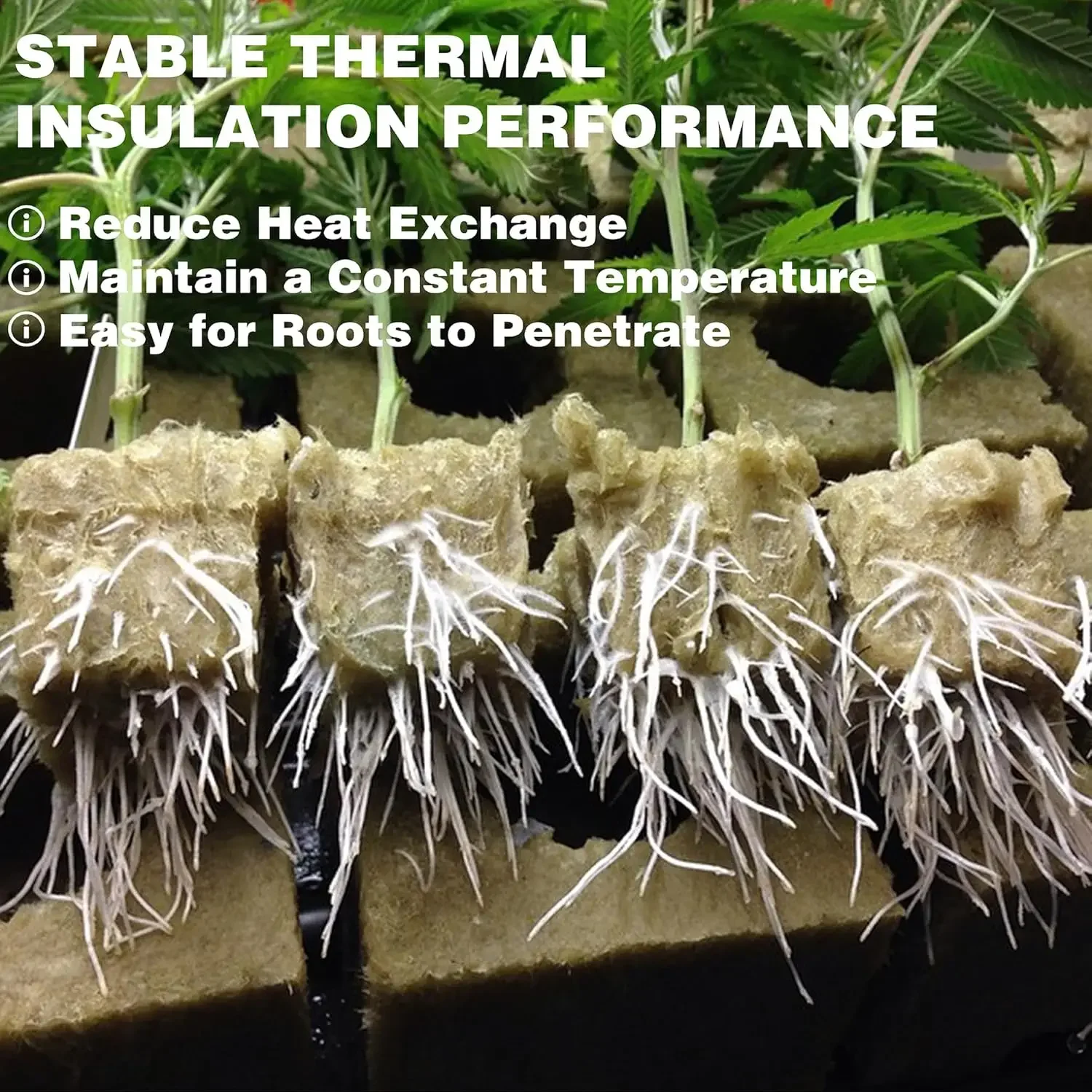 Rock Wool Starter Plugs Seedling Grow Sponge Block Planting Grow Cubes Hydroponics Cuttings Garden Plant Propagation Grow Supply