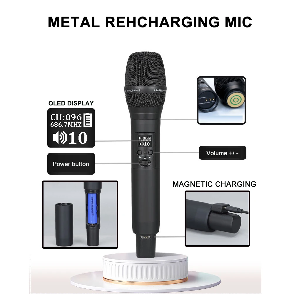 Dual Channel 200 Meter Singing Recharging Outdoor  Microphone Wireless True Diversity Microphone