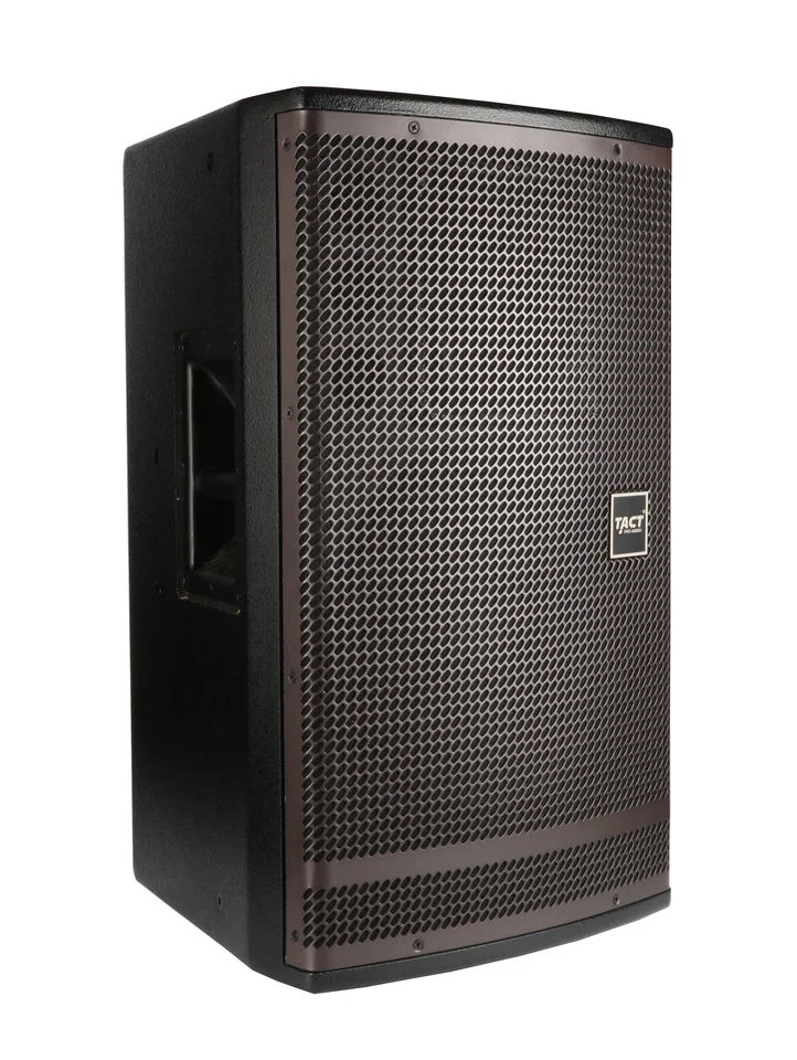 Ba10p Single 10 Inch Speaker, Multifunctional Loudspeaker for Venues