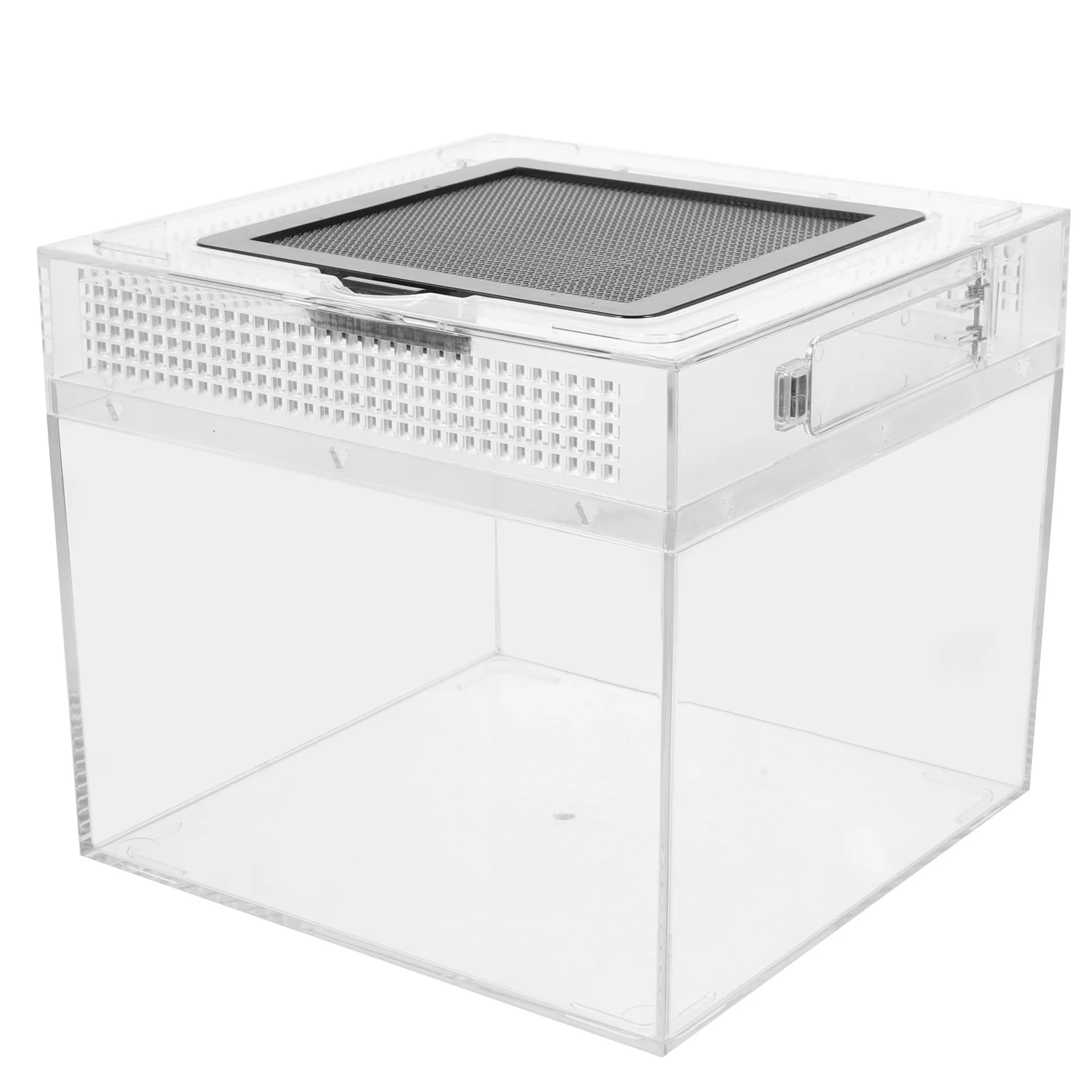 صندوق تربية السحلية، ختم مغناطيسي منزلق، حاوية شفافة للحيوانات الأليفة الصغيرة، العنكبوت أبو بريص الرتيلاء، الزواحف، صندوق تغذية الموئل #3