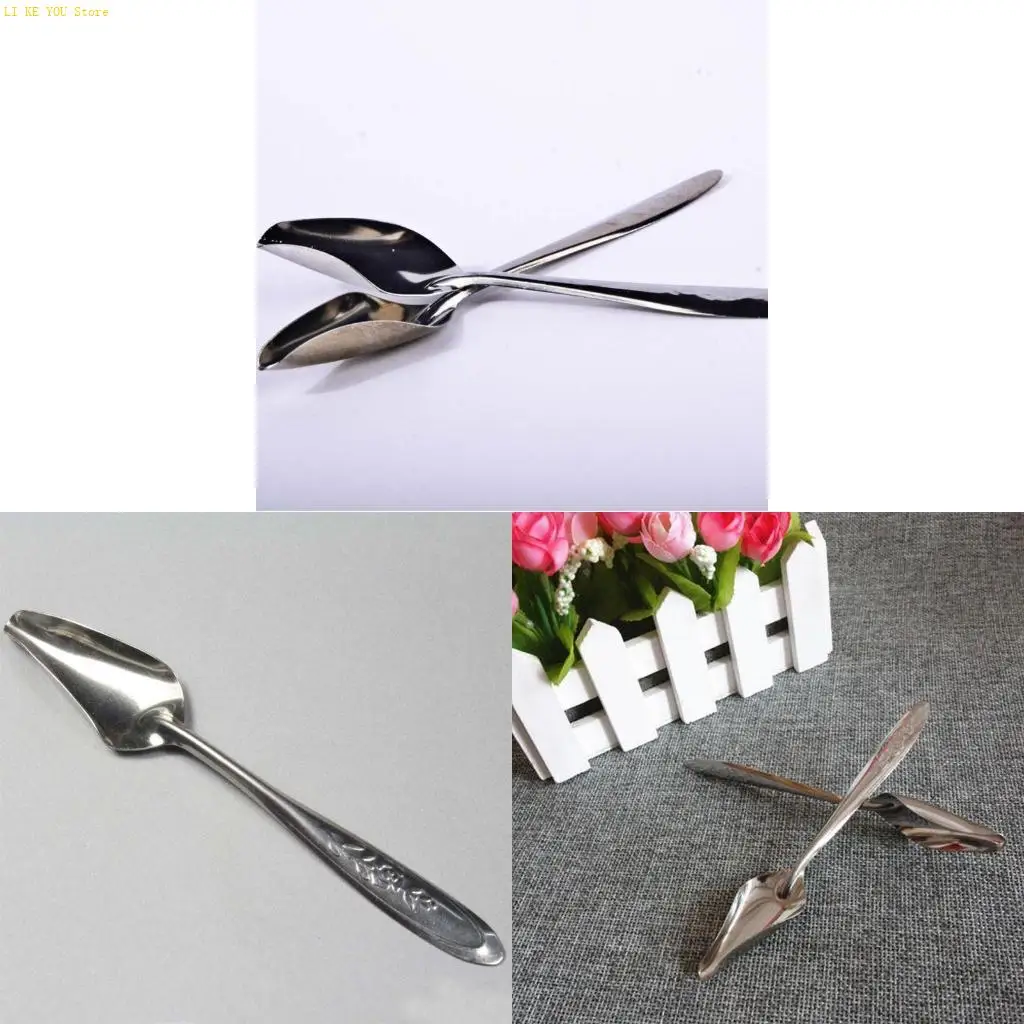 W3JE 5 Pieces Bird Feeder Spoon Stainless Steel Water Feeding Spoon for Small Parrot